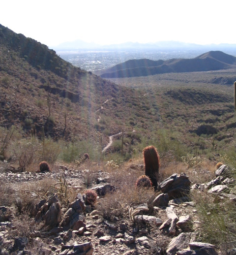lostdogwashtraildownhill.jpg